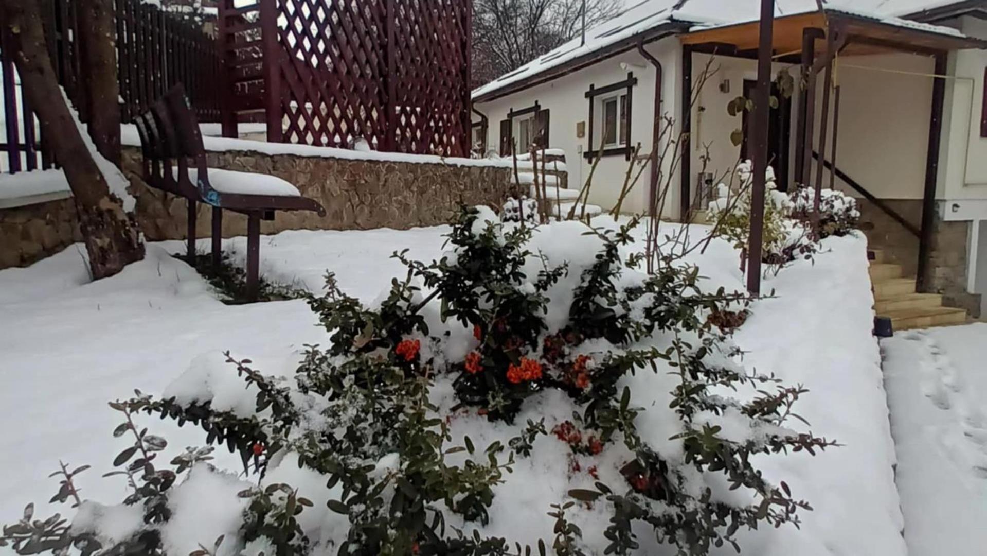Casa Tihna Baile Olanesti Exterior foto